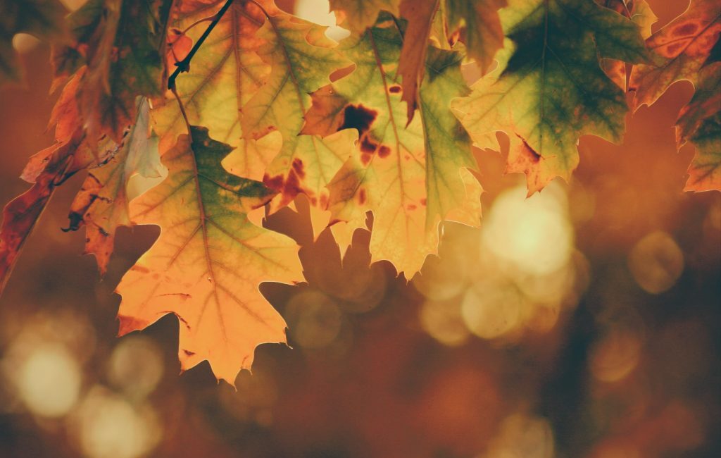 Fall in Ocean City